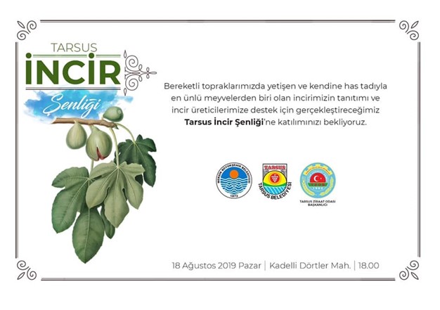 TARSUS İNCİR ŞENLİĞİ BUGÜN YAPILIYOR